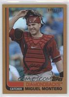 Miguel Montero #/199