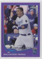 Salvador Perez