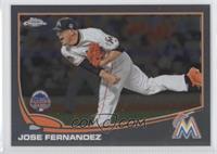 Jose Fernandez