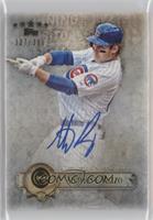 Anthony Rizzo #/386
