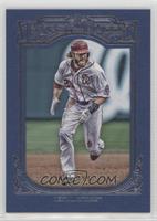 Jayson Werth #/499