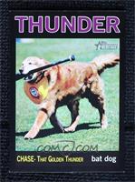 Chase- That Golden Thunder #/96