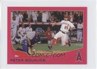 Peter Bourjos #/25