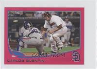 Carlos Quentin #/25