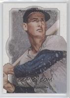 Ted Williams