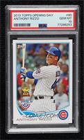 Anthony Rizzo [PSA 10 GEM MT]