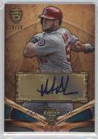 Matt Adams #/20