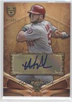 Matt Adams #/35