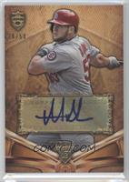 Matt Adams #/50