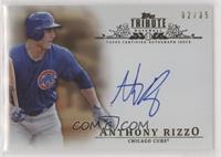 Anthony Rizzo #/35