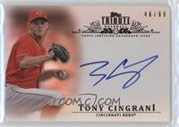 Tony Cingrani #/99