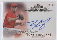 Tony Cingrani #/99