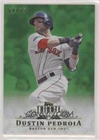 Dustin Pedroia #/75