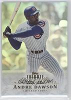 Andre Dawson