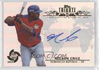 Nelson Cruz