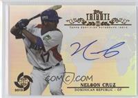 Nelson Cruz