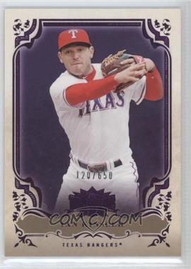 2013 Topps Triple Threads - [Base] - Amethyst #24 - Ian Kinsler /650