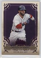 Dustin Pedroia #/650