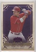 Joey Votto #/650