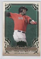 David Ortiz #/250