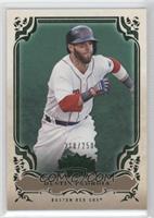 Dustin Pedroia #/250