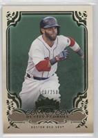 Dustin Pedroia #/250