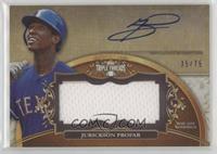 Jurickson Profar #/75