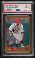 Rookie Debut - Anthony Rendon [PSA 10 GEM MT] #/2,013