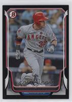 Josh Hamilton #/25