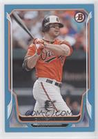 Chris Davis #/500