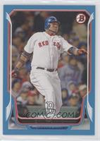 David Ortiz #/500