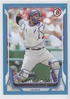 Wilin Rosario #/500