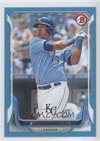 Salvador Perez #/500