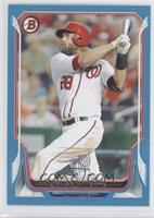 Jayson Werth #/500