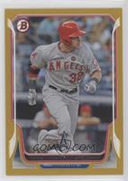 Josh Hamilton #/50