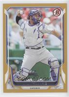 Wilin Rosario #/50