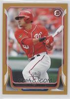 Ian Desmond #/50