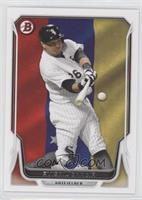 Avisail Garcia