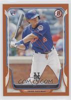 Wilmer Flores #/250