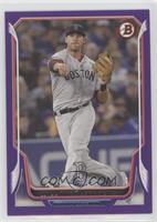 Will Middlebrooks #/10