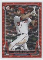 Jayson Werth #/25