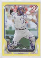 Wilin Rosario #/99