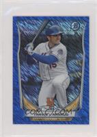 Travis d'Arnaud #/250