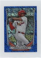 Oscar Taveras #/250