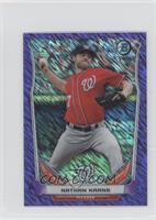 Nathan Karns #/99