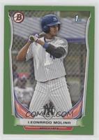 Leonardo Molina #/199