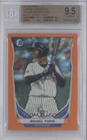 Raimel Tapia [BGS 9.5 GEM MINT] #/25