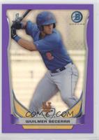 Wuilmer Becerra #/199