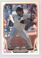 Angel Pagan #/500