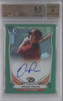 Daniel Palka [BGS 9.5 GEM MINT] #/75